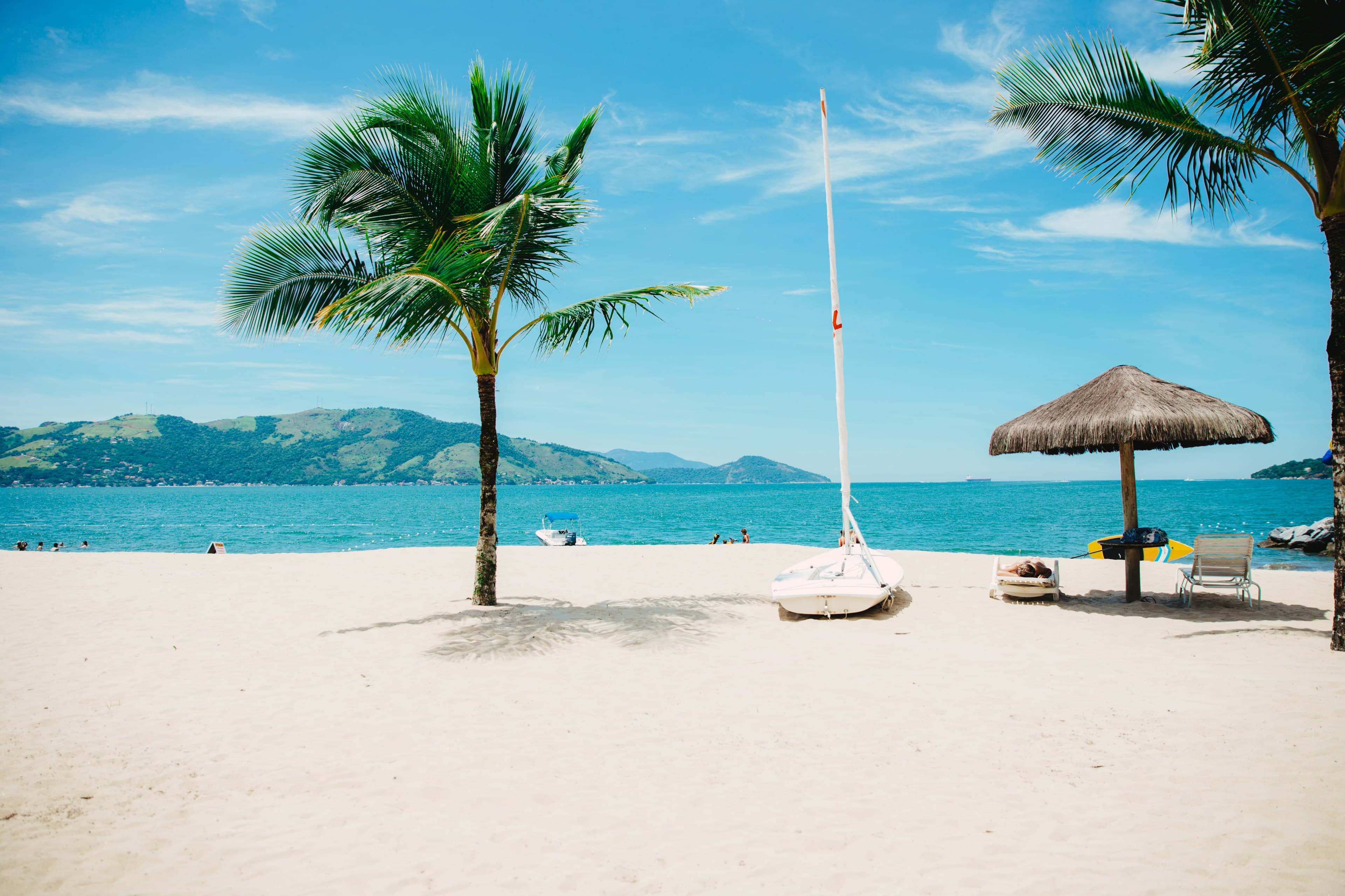 Palm trees and parasols beside a turquoise sea
