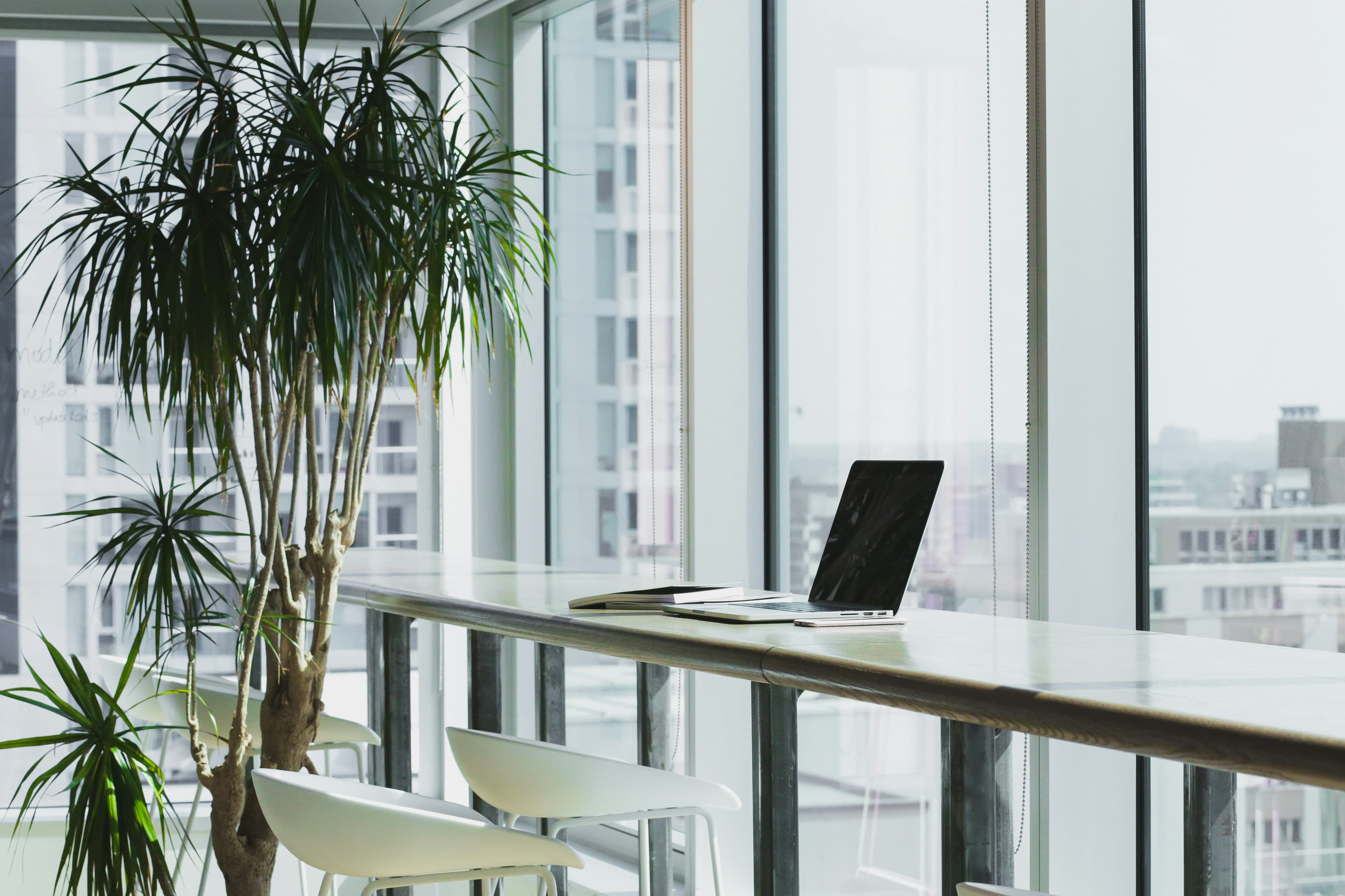 A bright contemporary workspace