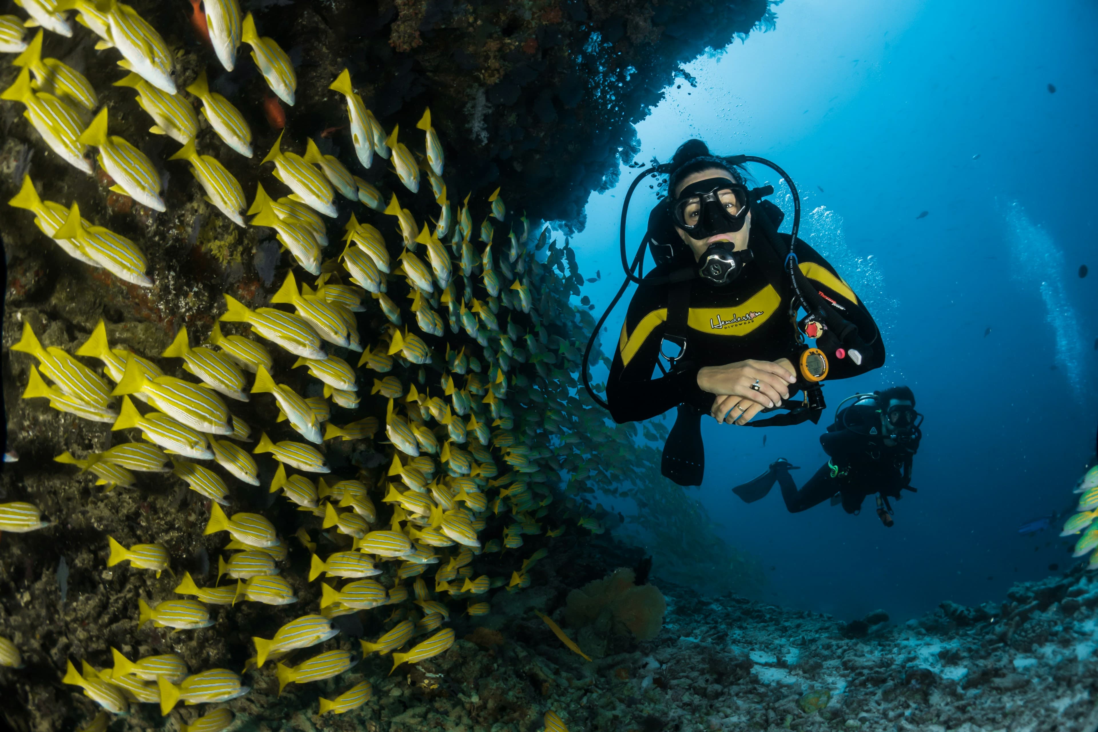 A scuba diver swimming among fish
