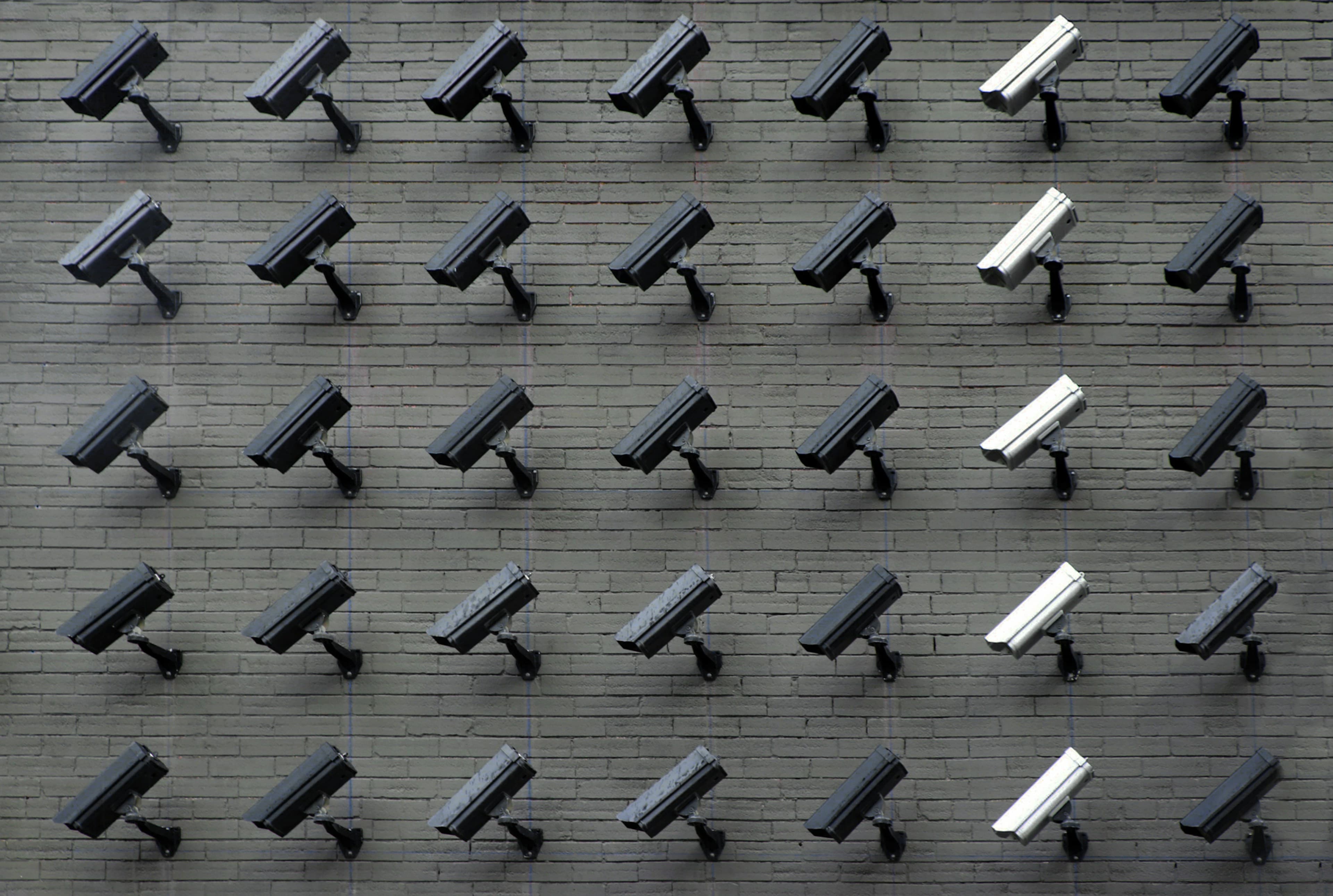 Wall-mounted surveillance cameras